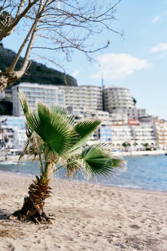 Najljepše plaže u blizini hotela Montengerina koje morate posjetiti